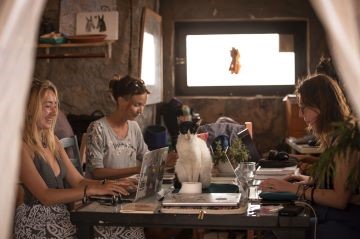 bénévolat espagne animaux