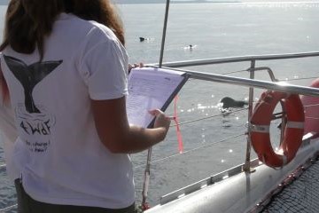 Ecovolontariat en Espagne