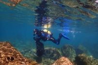 ecovolontariat espagne