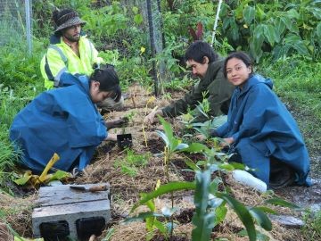 volontariat animaux australie