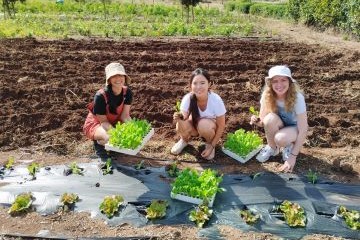 bénévolat agriculture durable et inclusion sociale