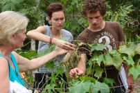 écovolontariat autonomie Equateur