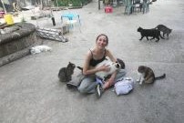 benevolat animaux italie