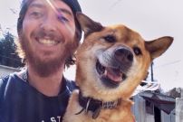 Refuge pour chiens et chats au Japon