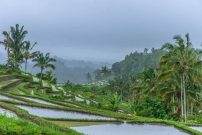 Stage infirmier en clinique privée à Bali